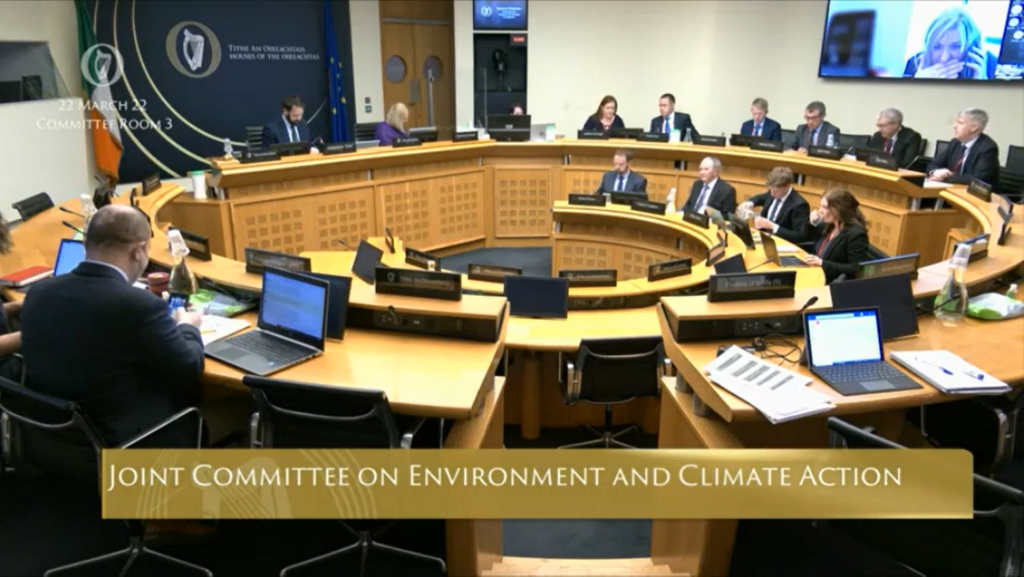 Oireachtas Committee on Climate Change_ Discussion on Energy Challenges