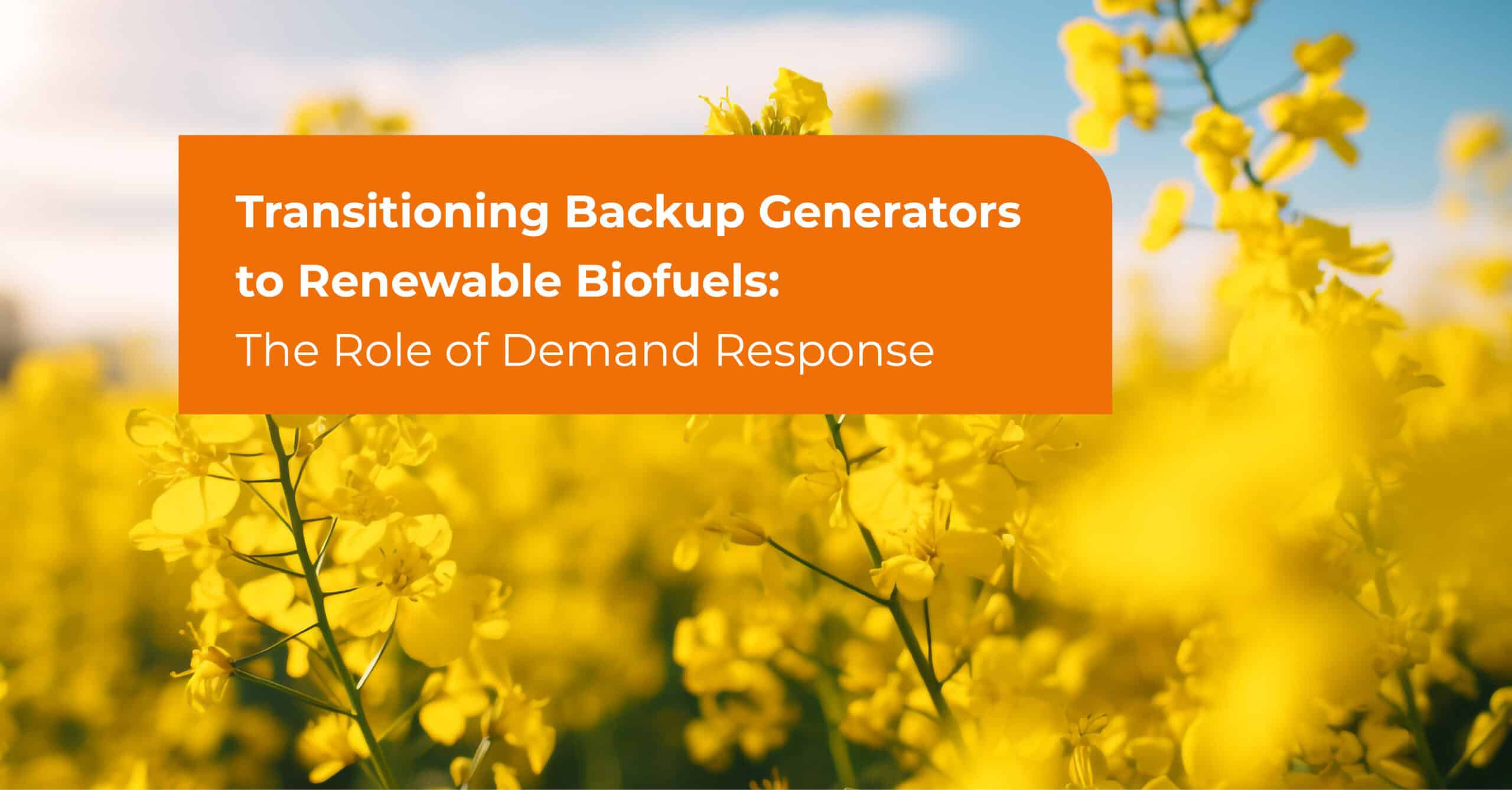 Transitioning Backup Generators to Renewable Biofuels: The Role of Demand Response