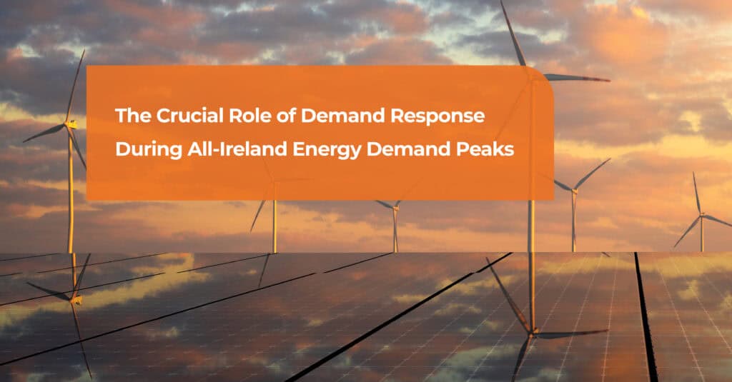 The Crucial Role of Demand Response During All-Ireland Energy Demand Peaks